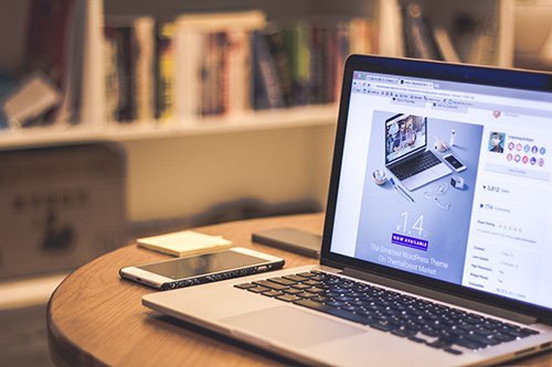 graphic designer or web designer