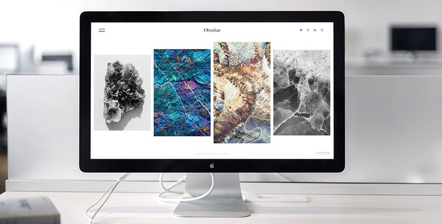 graphic designer or web designer
